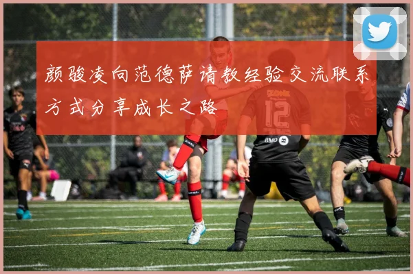 颜骏凌向范德萨请教经验交流联系方式分享成长之路