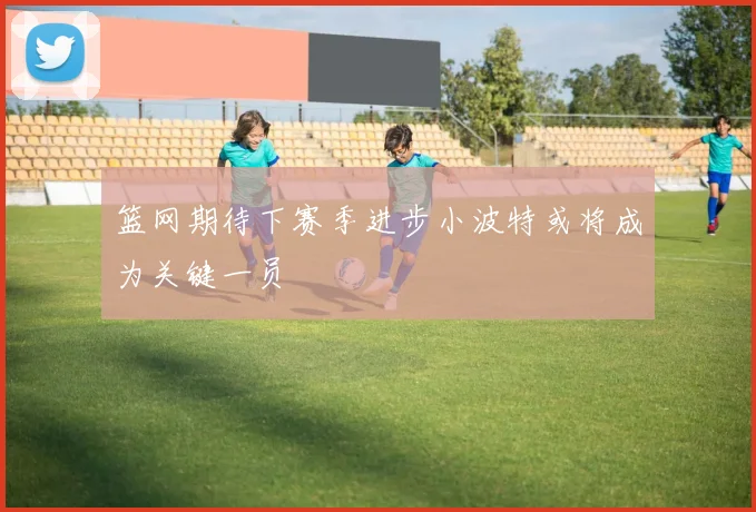 篮网期待下赛季进步小波特或将成为关键一员